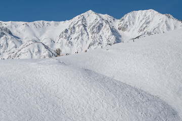 白馬岩岳スノーフィールド　ゲレンデ風景