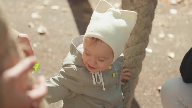 Baby in white hat leaning against tree, adult hand offering green leaf, cozy hoodie, autumn park atmosphere, warm sunlight and soft shadows, curious expression and gentle touch, candid family moment