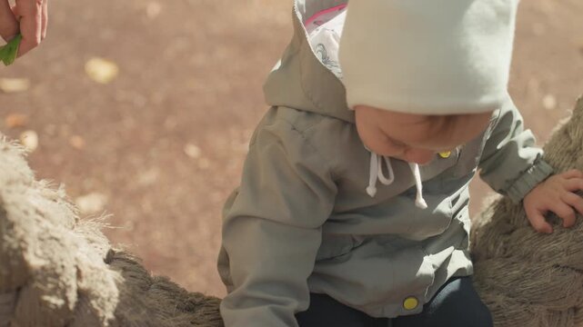 Child sorts nature. Kid examines leaf surface carefully. Young explorer checks leaf texture outdoors. Toddler explores leaf details during outdoor family educational activity in park
