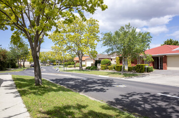 Quiet leafy suburban street lined with mature trees and detached houses in an Australian residential neighbourhood. Tree canopy provides shade along the road, a calm and liveable environment.