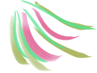 和のカラフルな羽根のようなストロークイラスト