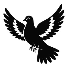 Fototapeta premium dove and peace