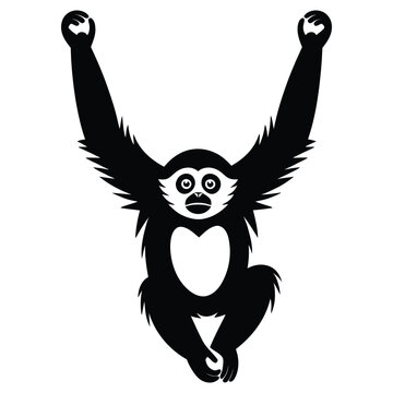 gibbon