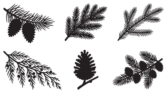 Collection of six black silhouette illustrations of pine branches with cones and needles.