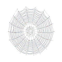 Obraz premium Sparkling spiderweb with dew drops