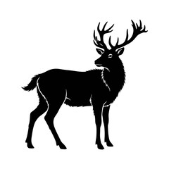 deer silhouette vector © Zie-1