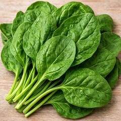 Fototapeta premium Raw Of spinach