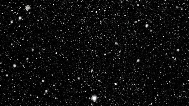 Beautiful white snowflakes falling gently against a dark black background