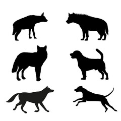 Chicken silhouette collection with different standing poses perfect for farm logos, agriculture graphics and poultry illustrations. © Taiba