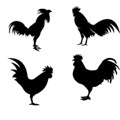 Rooster silhouette illustrations in different poses ideal for farm branding, agriculture designs and poultry related graphics. © Taiba