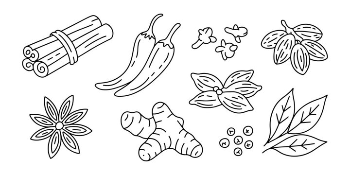A vector graphic illustration of various herbs and spices in a simple line art style