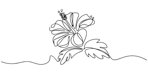 Continuous one line drawing of Hibiscus Flower, Hibiscus flower in one line art drawing style. Black line sketch on white background. Vector illustration, Hibiscus flower in one continuous line draw © DESIGN LINE