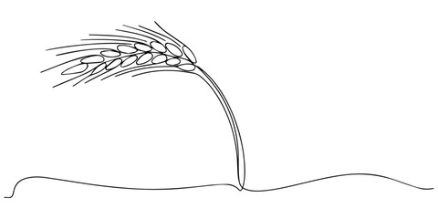 Ears of wheat one continuous line drawing, Continuous one thin smooth line simple minimalistic drawing of a wheat stalk on a white background, Continuous one line drawing of wheat. Barley © DESIGN LINE