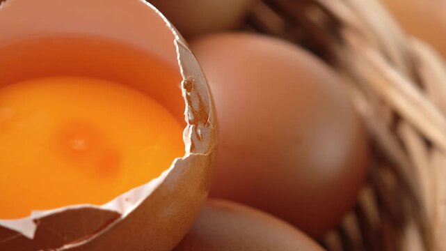 The yolk of a chicken egg 