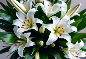 Fototapeta premium Elegant bouquet of pristine white lilies, lush green leaves, bouquet, details
