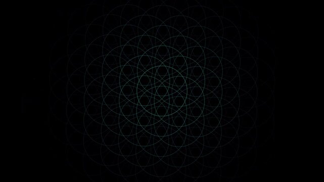 Seamless 4K UHD Flower of Life sacred geometry grid performing a hypnotic breathing motion, perfect for deep trance meditation, yoga, ambient backgrounds, somatic focus, and frequency healing visuals.