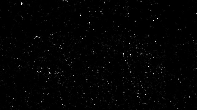 Authentic black and white dust, grain.Dust and scratches texture
