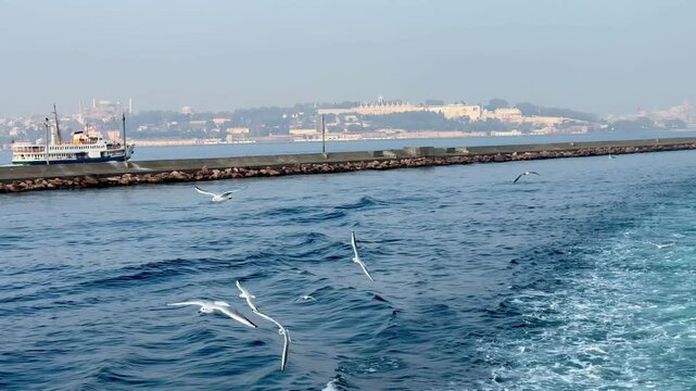 Scenic view of seagulls flying over the Bosphorus with Topkapi Palace on the misty horizon. Panoramic maritime landscape with sea waves and historic Istanbul landmarks in Turkey.