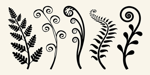 Elegant black silhouettes of various fern fronds and leafy stems © PolyRani