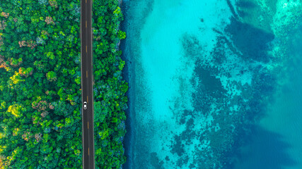Fototapeta premium Top view aerial shot of a white car driving on a coastal road between lush green forest and turquoise ocean water, concept of scenic nature landscape representing travel and exploration.