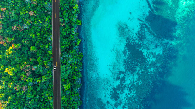 Top view aerial shot of a white car driving on a coastal road between lush green forest and turquoise ocean water, concept of scenic nature landscape representing travel and exploration.