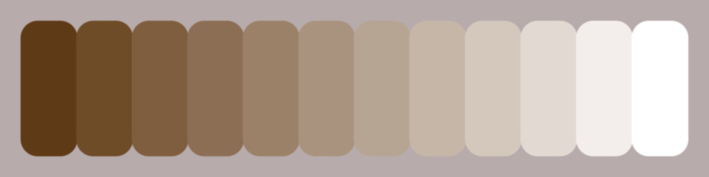 Brown and beige color palette with various shades and tones