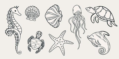 Hand drawn illustration of various marine life and seashells © ShreeShuvoKumar