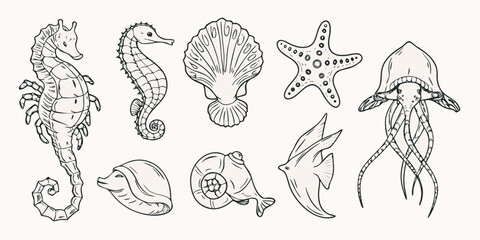 Line art illustration depicting various marine life and sea creatures © ShreeShuvoKumar