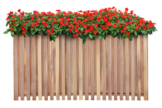 Wooden planter box filled with busy lizzie flowers .Flower wooden window box transparent background
