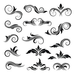 Fototapeta premium Ornamental Flourish Elements Luxury Black Vector Illustration