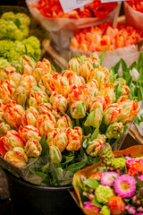 Fototapeta premium Vibrant tulips bloom in a bustling flower market, showcasing their colors and beauty in springtime