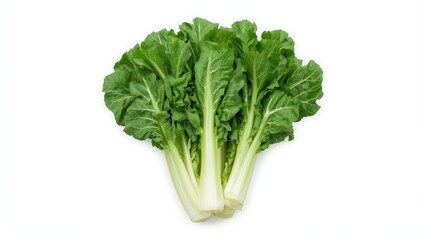 Top view of chicory salad on white background, clipped and in focus