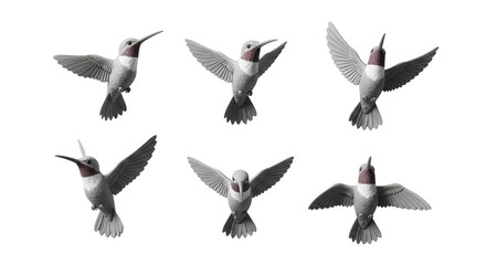 Fototapeta premium hummingbirds in mid air on a white background creating an illustrative display nature projects
