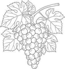 Fototapeta premium Adobe Illustrator Artwork