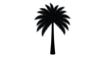 A striking black palm tree stands boldly against a white background a captivating silhouette high quality professional detailed © MIRAJ02