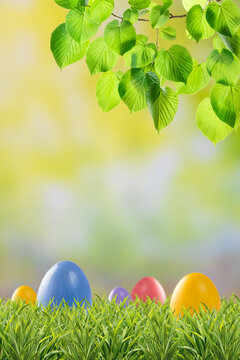 Happy easter holiday card with eggs in green grass