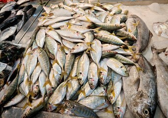 Obraz premium Fresh Fish and Seafood Market Display