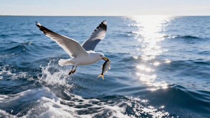 Seagull catching fish in ocean