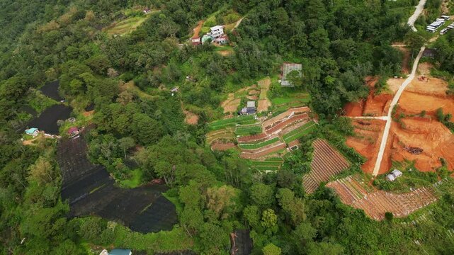 Aerial drone shot of Terraced farms carved into forested hillside with winding dirt road - La Trinidad, Benguet, Philippines
