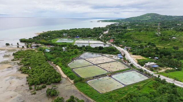 Tranquil aerial view of shrimp farms blending with lush hills and coastal waters