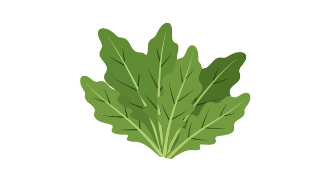 Fresh green leaves flat design simple vector illustration
