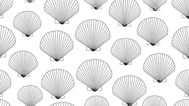 Seamless background pattern of elegant line-art seashells repeated across a clean white surface for marine-themed design projects.