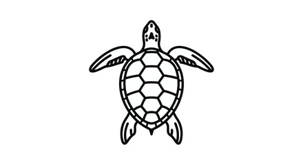A black and white line drawing of a sea turtle swimming upwards © Saika