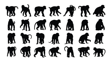 A collection of monkey silhouettes in various poses © MehediHasan