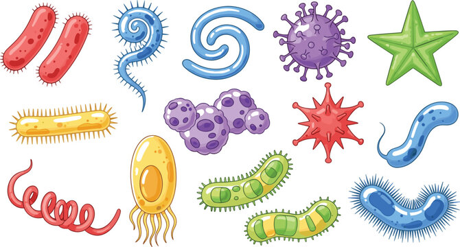 Set of Colorful Microorganism and Bacteria Icons Featuring Different Shapes and Types of Germs