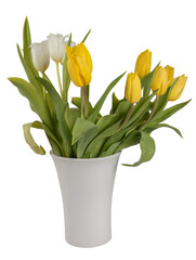 Obraz premium Bouquet of yellow and white tulips in a white ceramic vase, isolated on transparent background, spring floral arrangement.