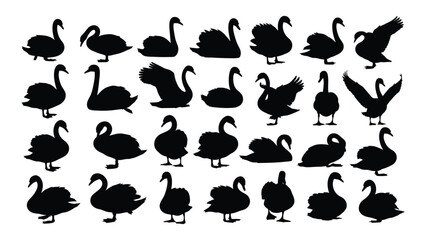 Collection of swan silhouettes in various poses © MehediHasan