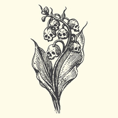Vintage style vector illustration of lily of the valley flowers cleverly replaced with small human skulls in a macabre botanical design © bbilfunk