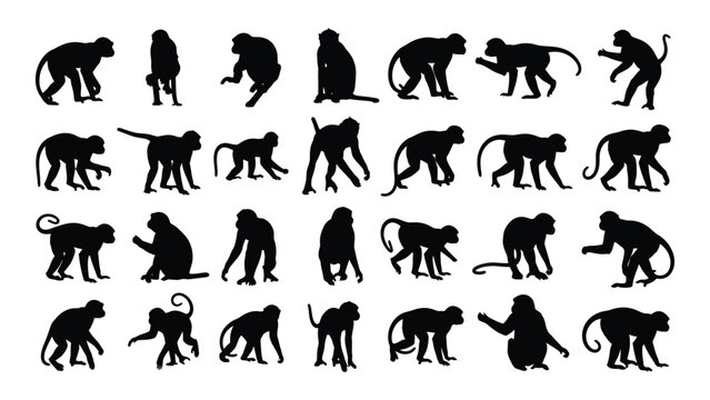 Various monkey silhouettes in different poses and shapes