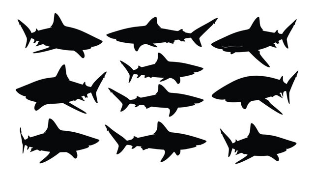 A group of shark silhouettes on a white background